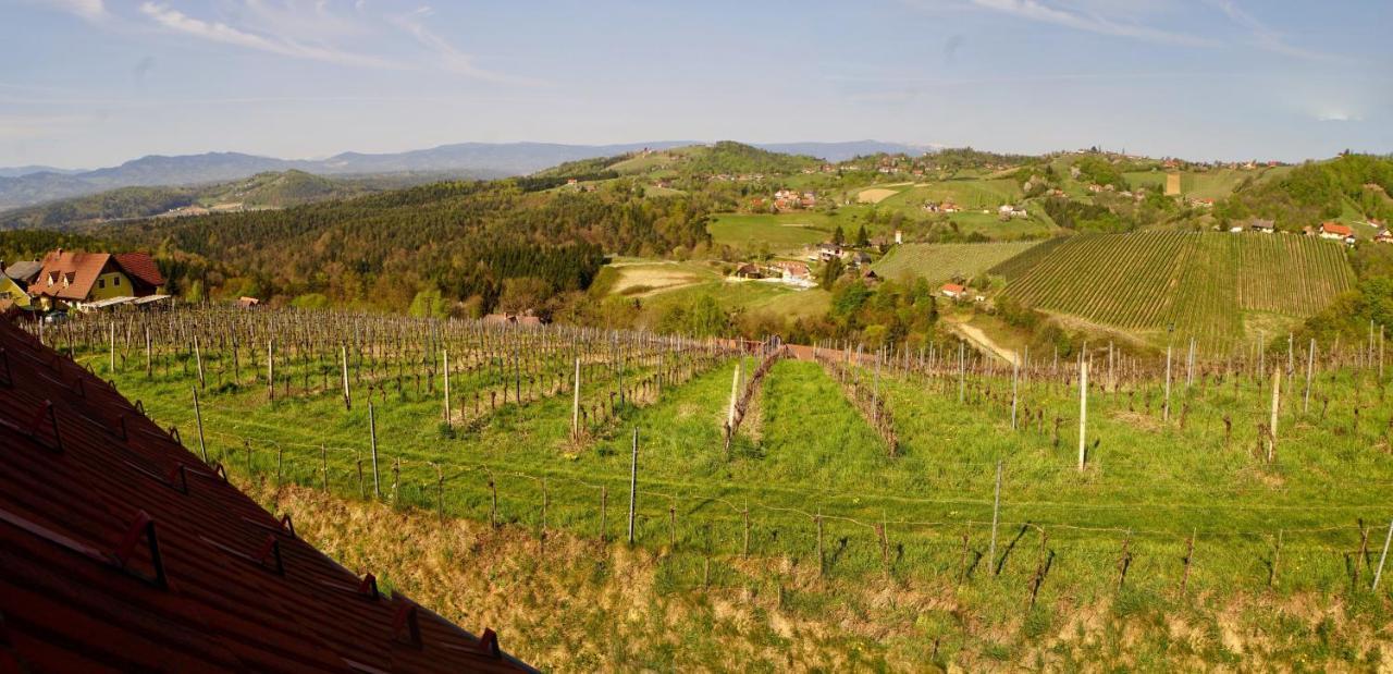 Ferienhaus Haring Kitzeck im Sausal Luaran gambar
