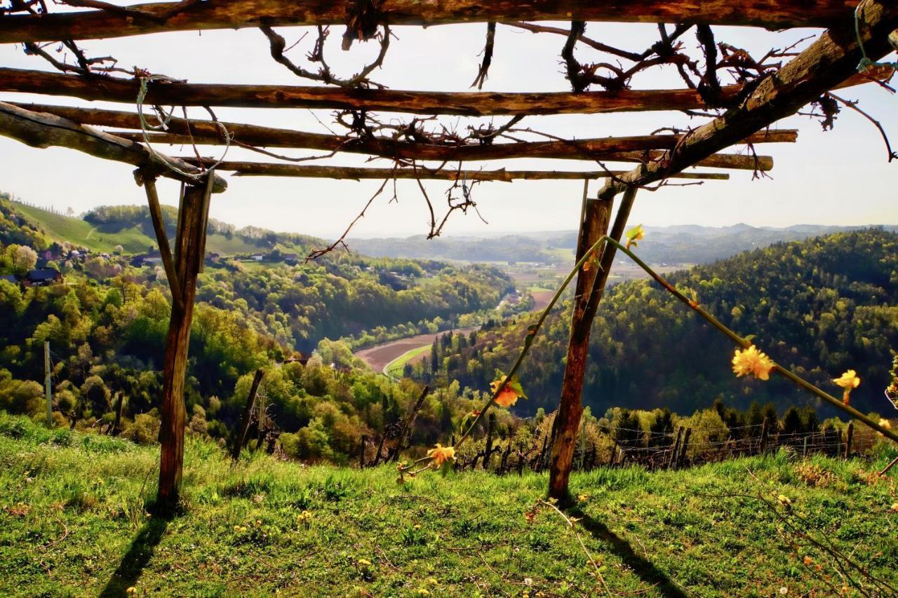Ferienhaus Haring Kitzeck im Sausal Luaran gambar